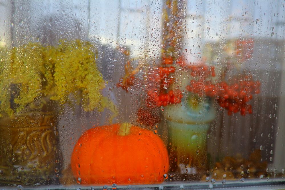 Photograph by Нина Титенкова