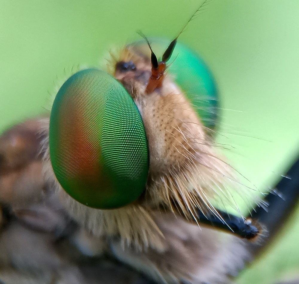 Photograph by Zaki Purnomo