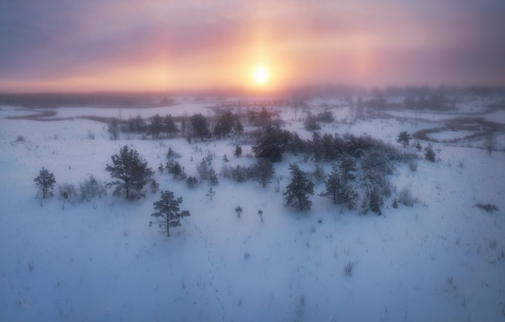 Photograph by Roman Dmitriev