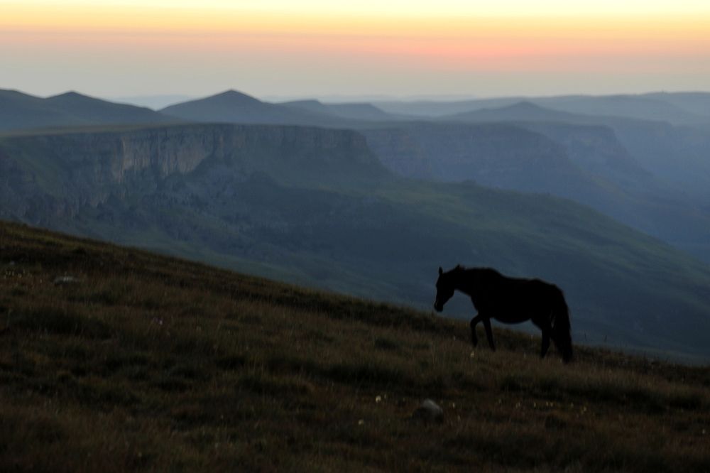 Photograph by Elena Starodvorskaya