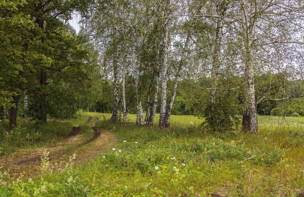 Фотография автора Рамиль Фаттахов