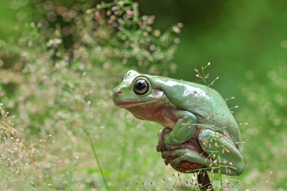 Photograph by Teti Nurhayati Ranyabar Tinur