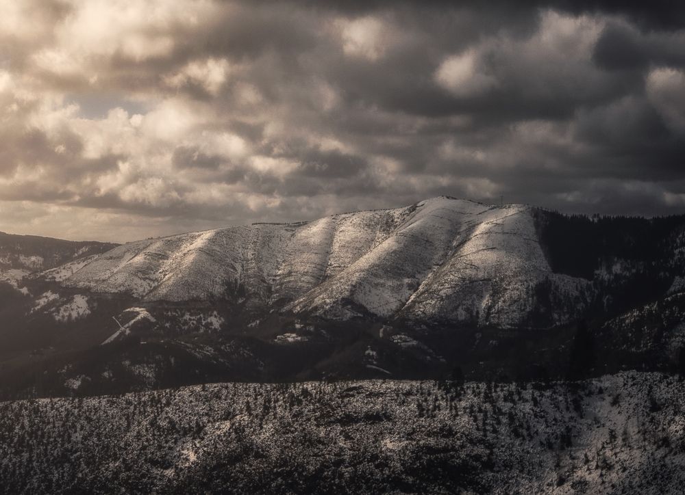 Photograph by Drew Korme