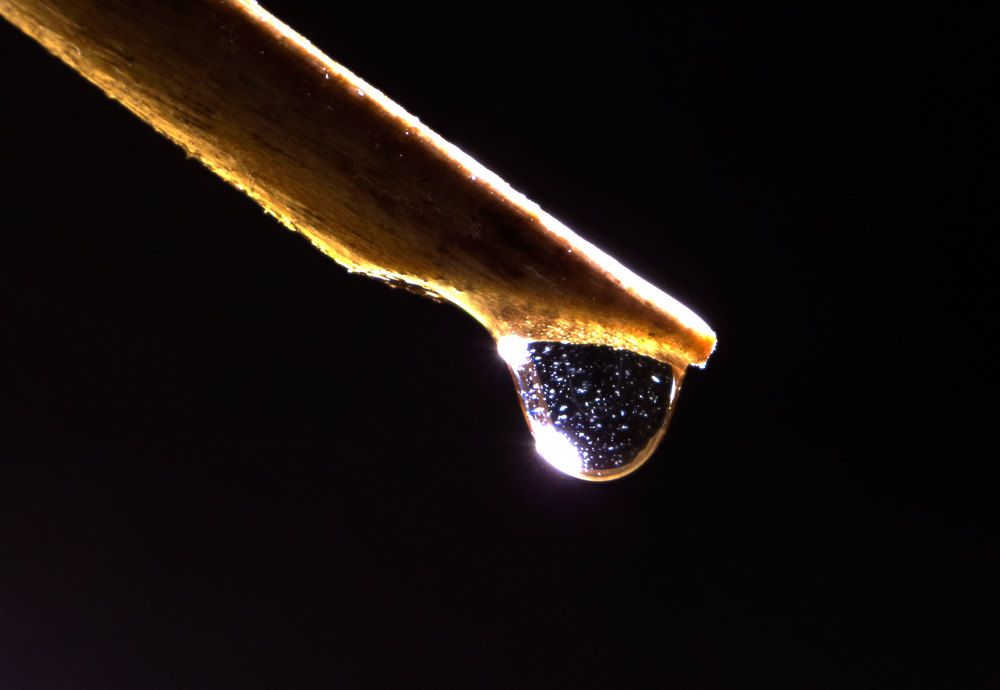 Photograph by Josue Rosales