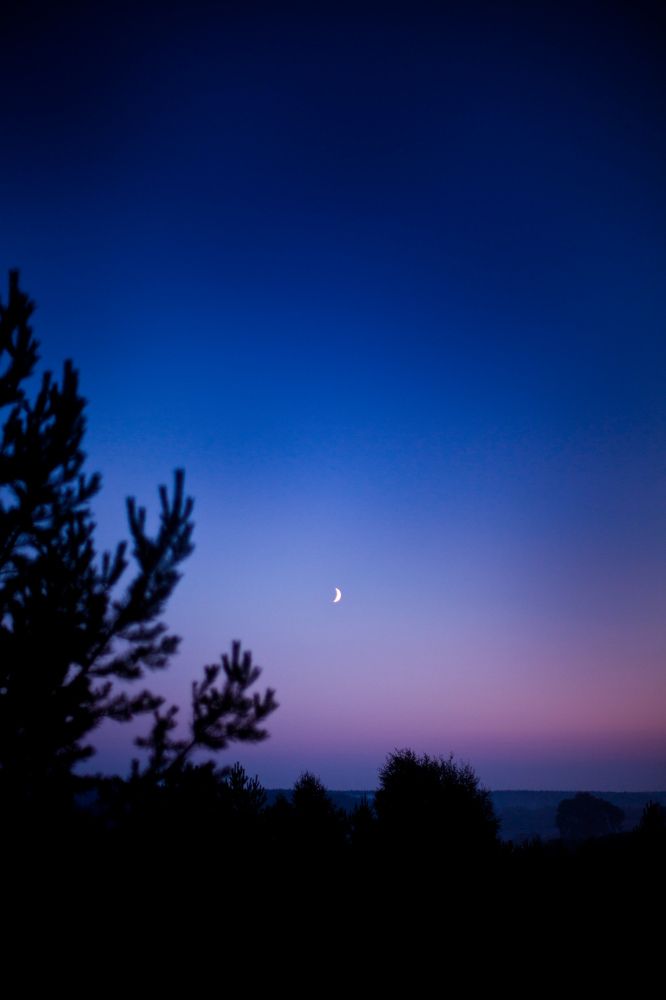 Photograph by Юлия Ефимова