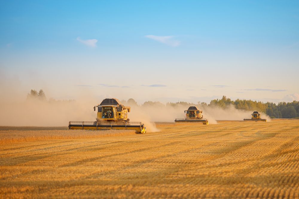 Photograph by Юрий Смелов