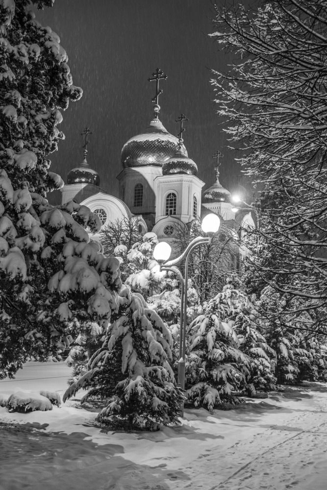 Photograph by Евгений Киселев