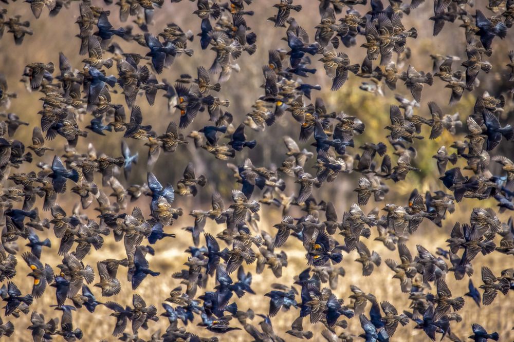 Photograph by Goutham Ganesh Sivanandam