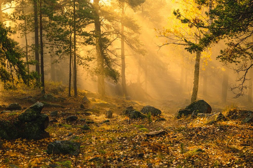 Photograph by Кристина Богомазова