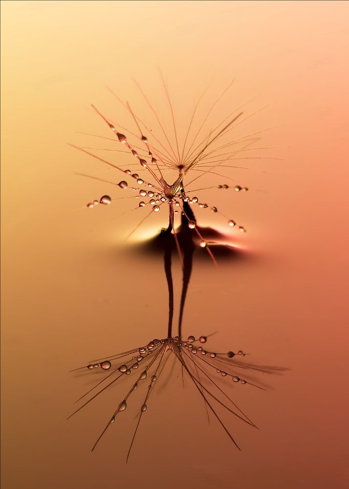 Фотография автора Илан Грабоис