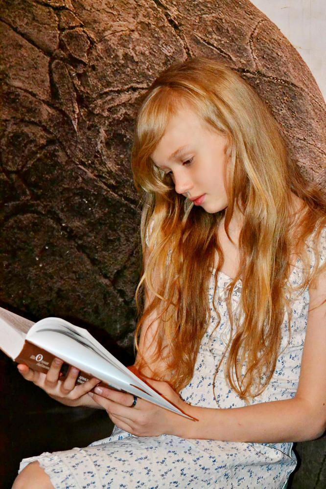 Любовь к книгам в рождество