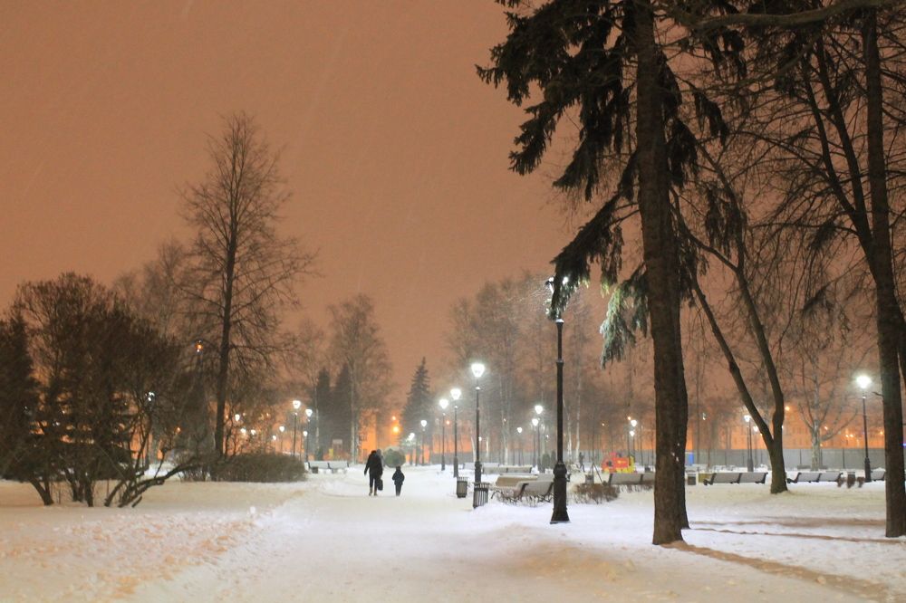 в парке