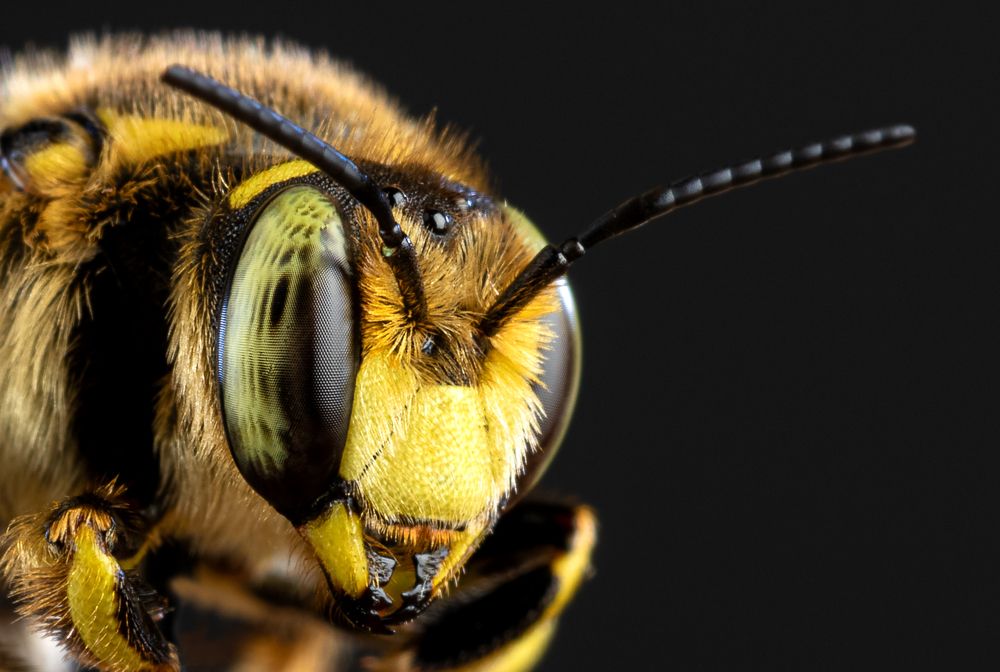 Photograph by Александр Власюк