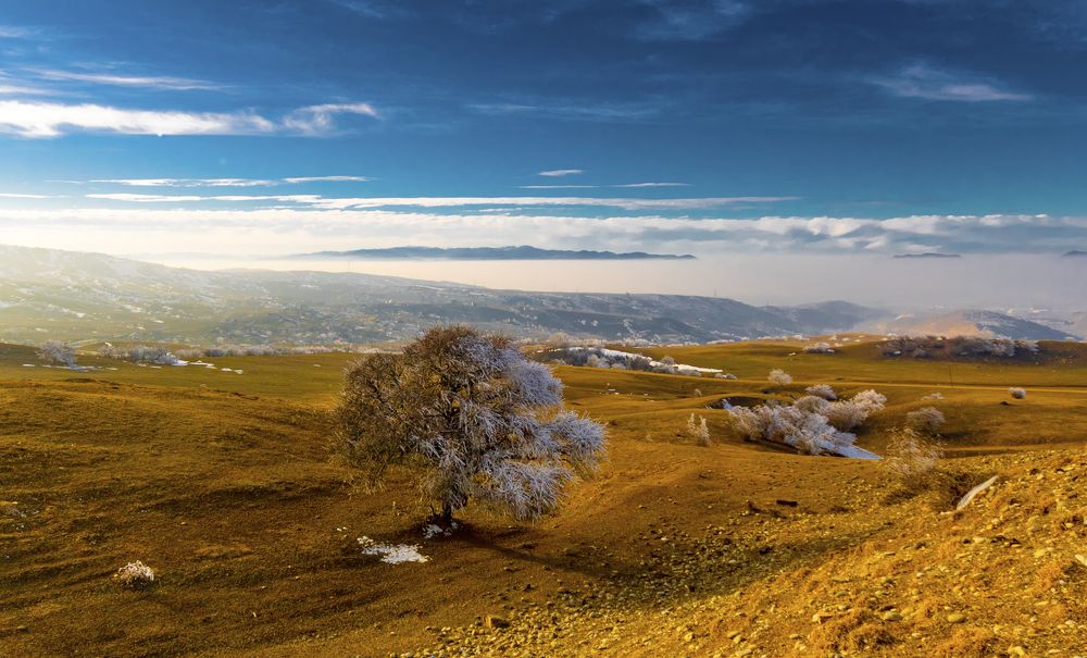 Photograph by Alex Kalpus