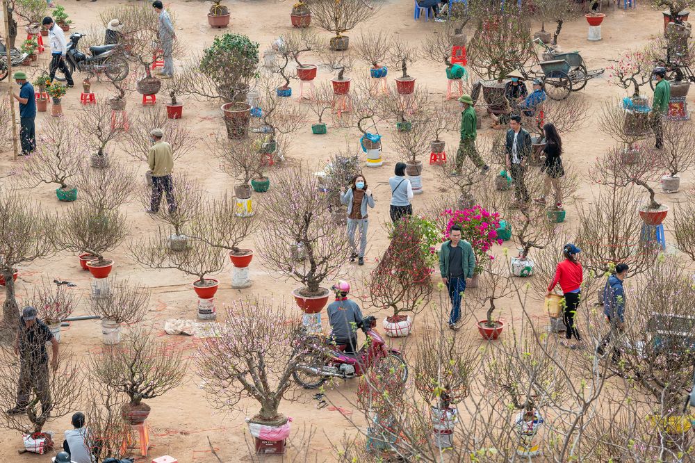 New Year flower market