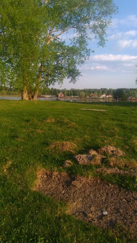 Photograph by Елена Аверьянова