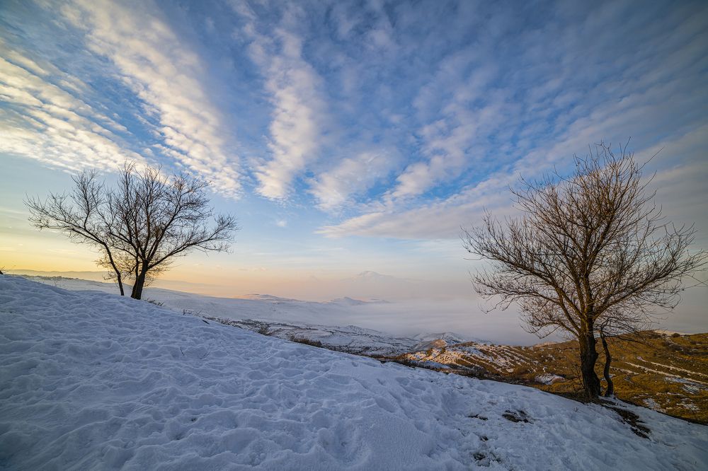 Фотография автора Davit Mohrabyan
