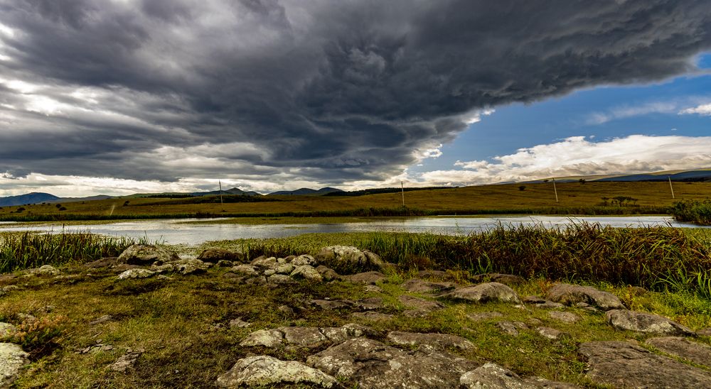 Photograph by Alex Kalpus