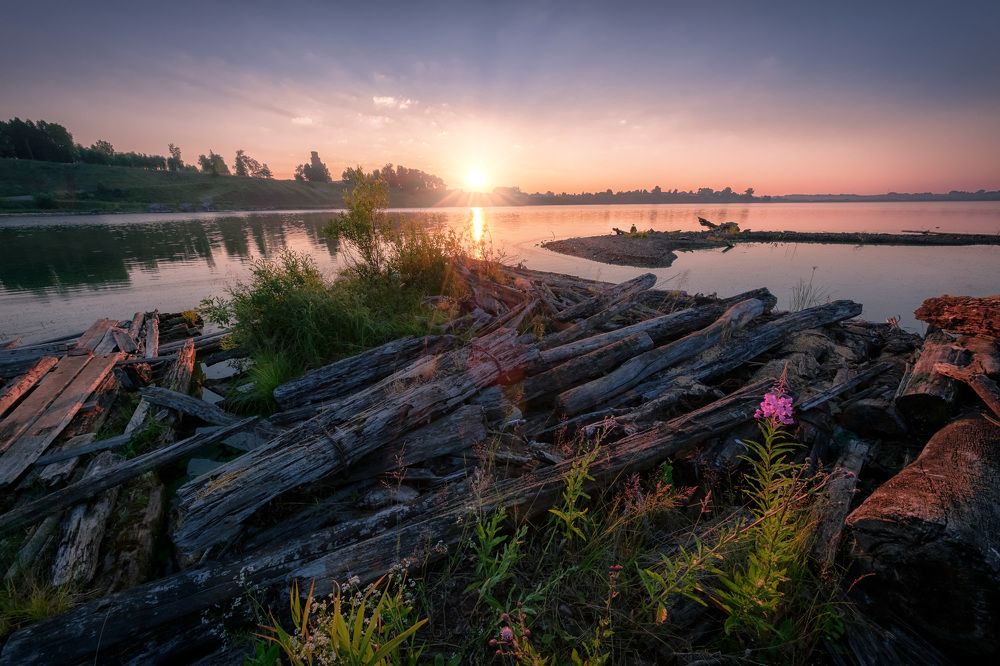 Фотография автора Андрей Чиж