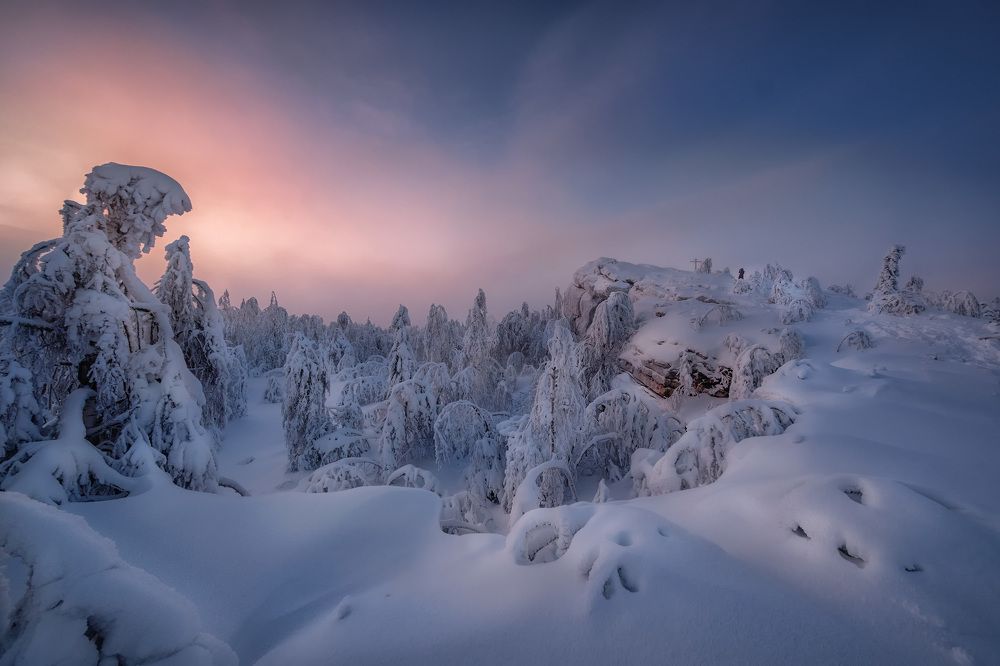 Фотография автора Андрей Чиж