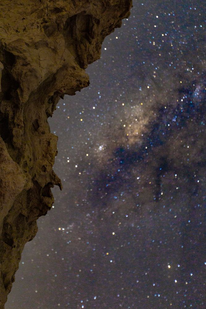 Night guards of desert -2