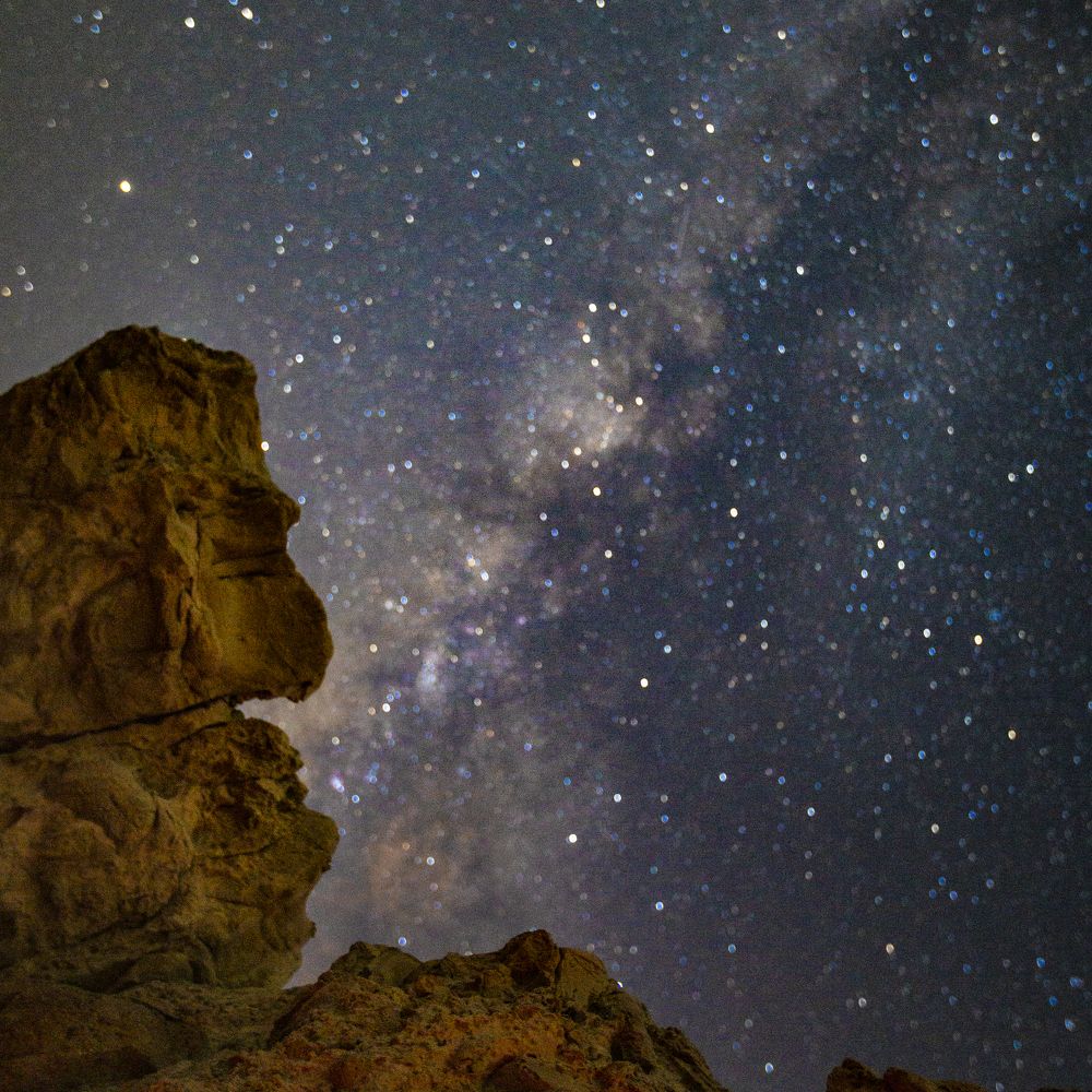 Night guards of desert -3