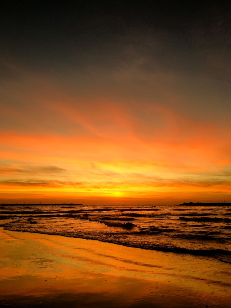 Photograph by Алина Чеснокова