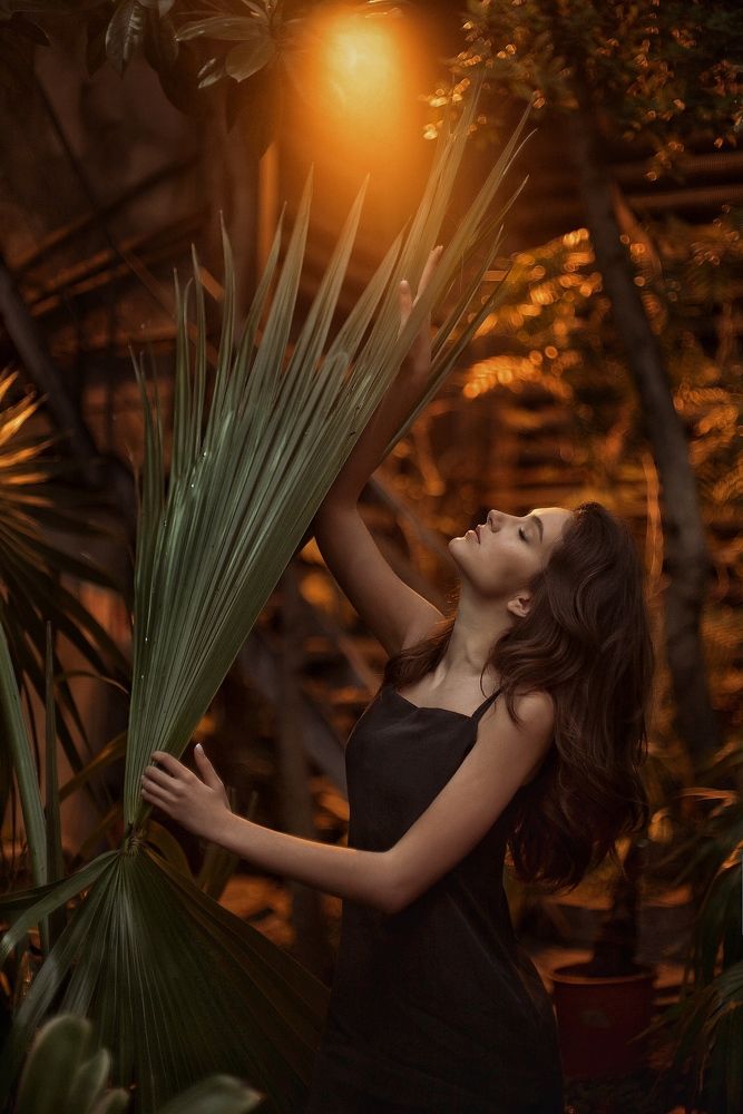 Фотография #5680327