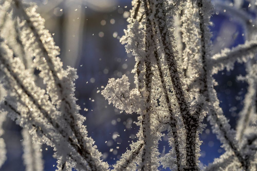 Фотография автора Михаил Пшеннов