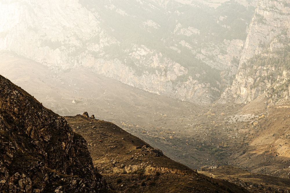 Фотография автора Михаил Пшеннов