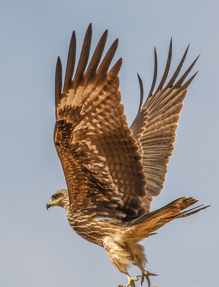 Photograph by Goutam Mitra