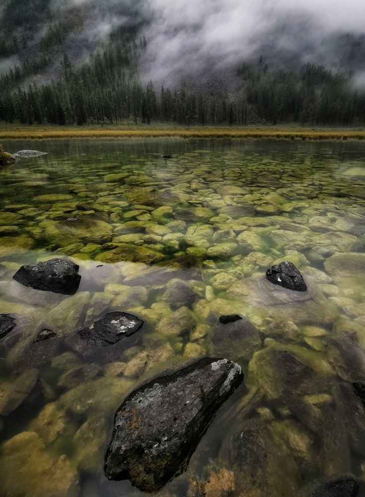 Photograph by Евгений Антонов