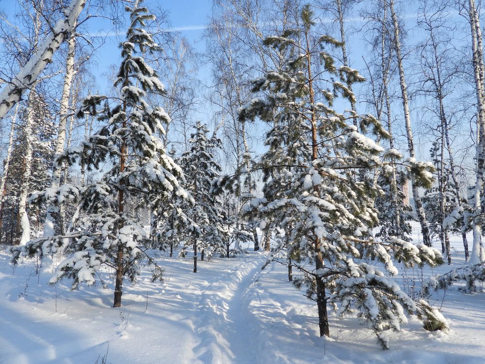 Photograph by Наталья Муравьёва