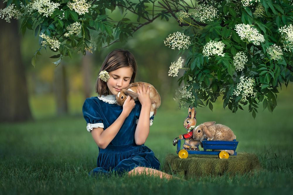 Photograph by Stacy Robeson