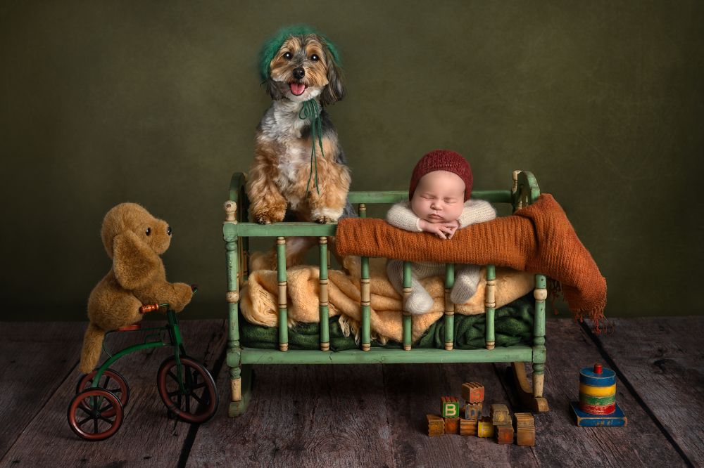 Photograph by Stacy Robeson