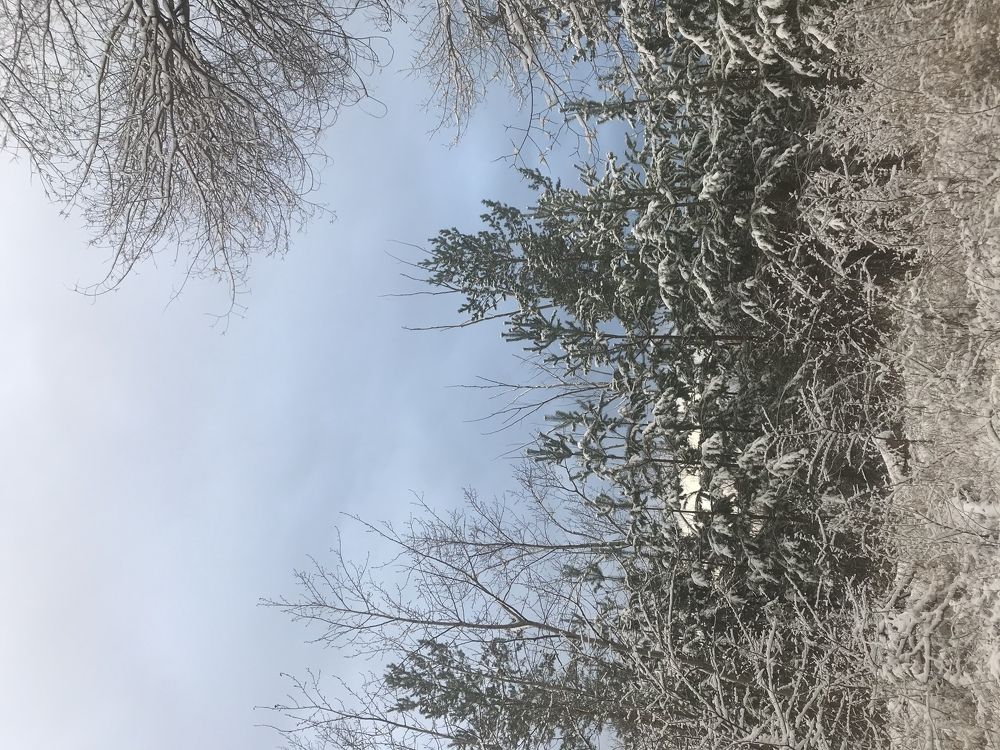 Photograph by Ольга