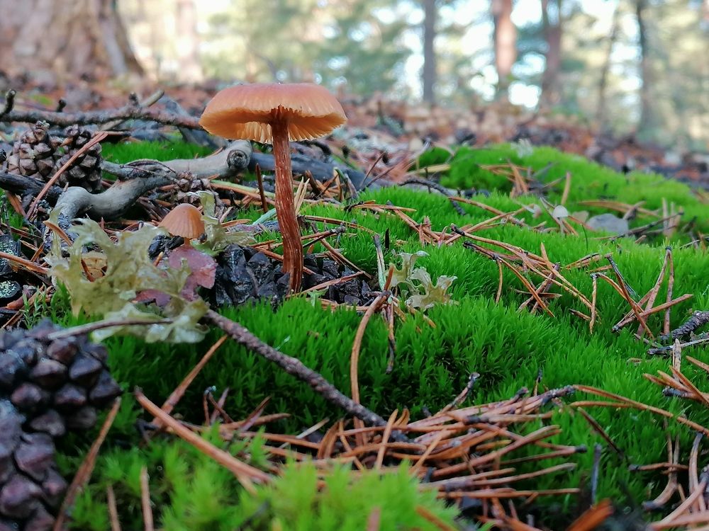 Photograph by Irina Vagapova