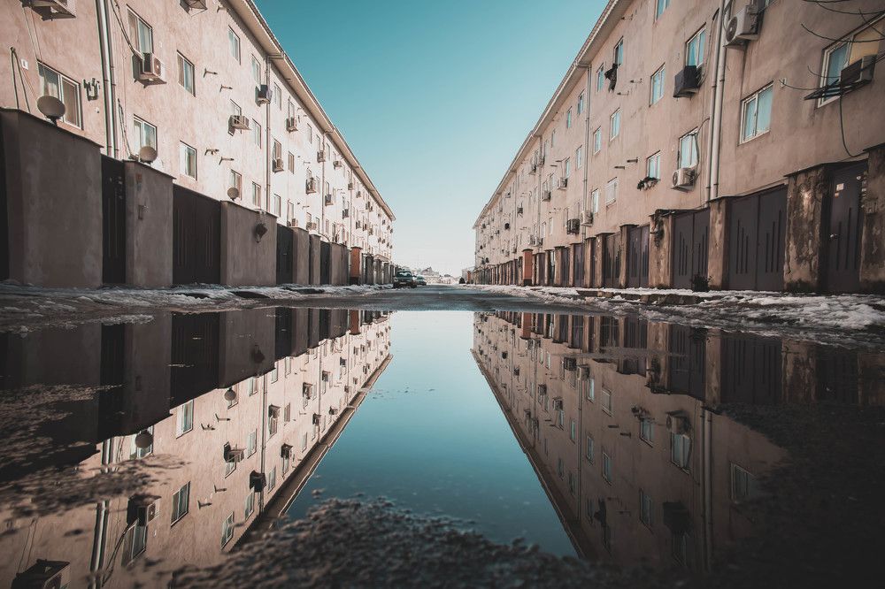 Photograph by reza jafari asl