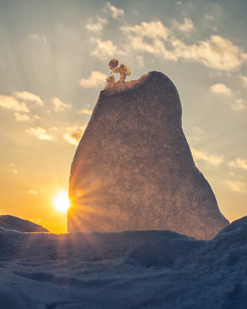 Один в поле воин