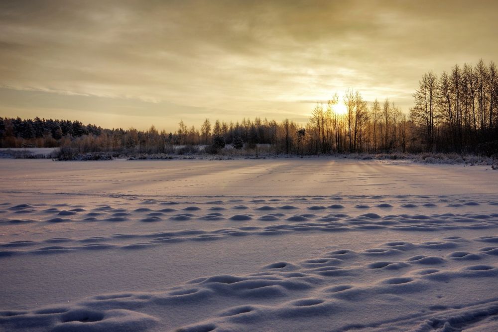 Photograph by Наталья Кащеева