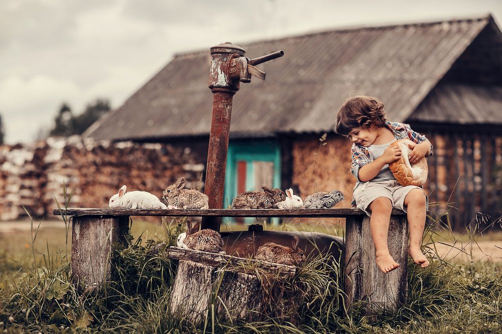 Photograph by Анна Ипатьева