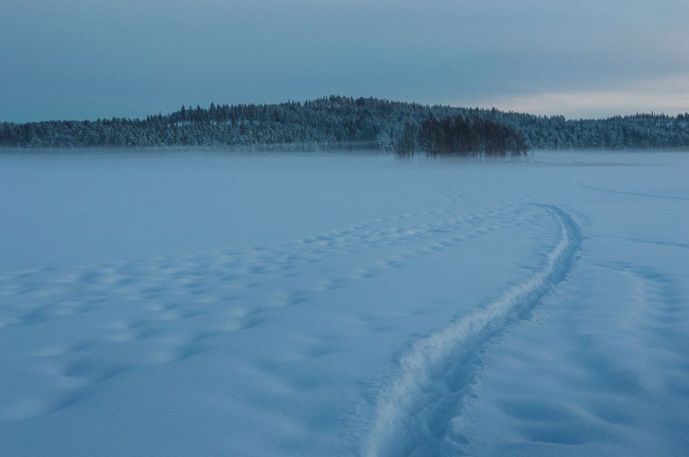 Photograph by Ася Легконогова