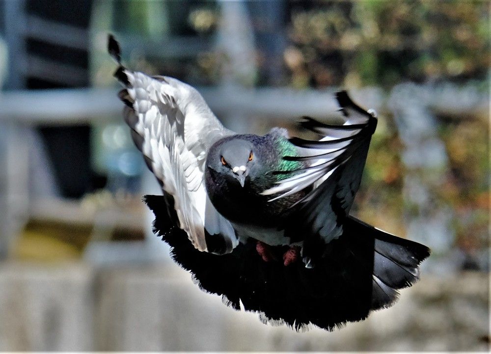 Photograph by Effie Zacharia