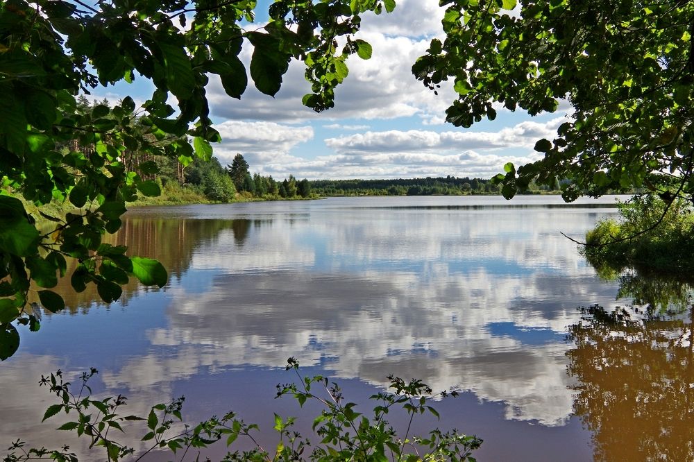 Photograph by Наталья Кащеева