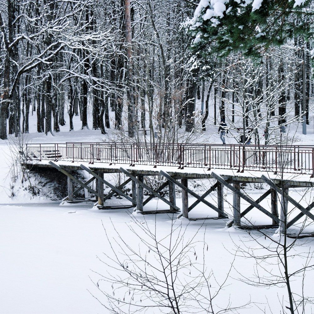 Photograph by Михаил Бородкин