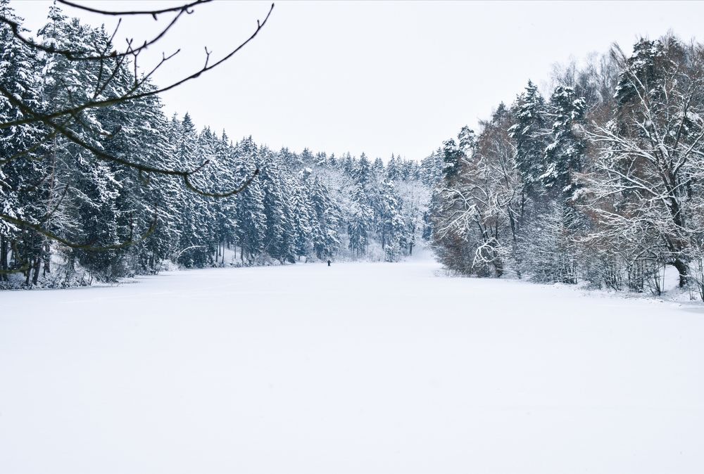 Photograph by Михаил Бородкин