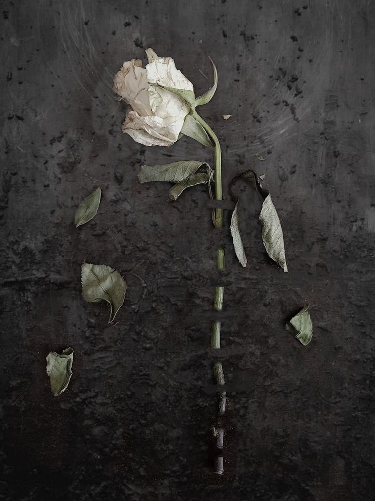 Photograph by Hafiz Zenab