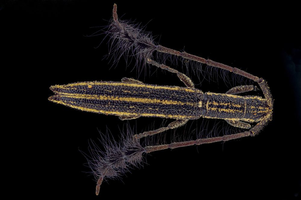 Photograph by Vinodkumar S