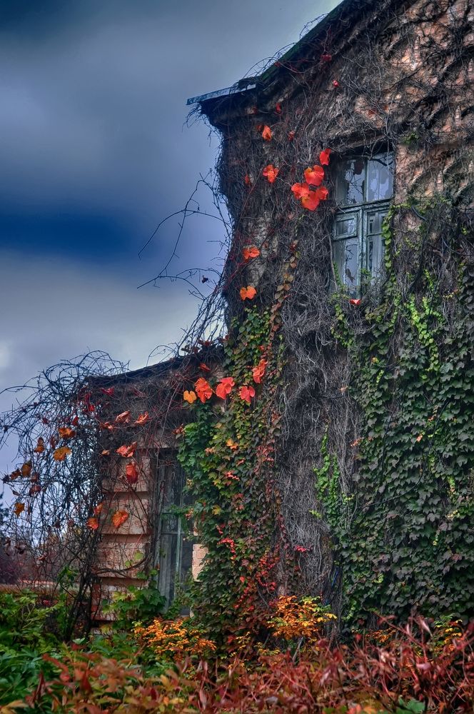 Photograph by Ростислав