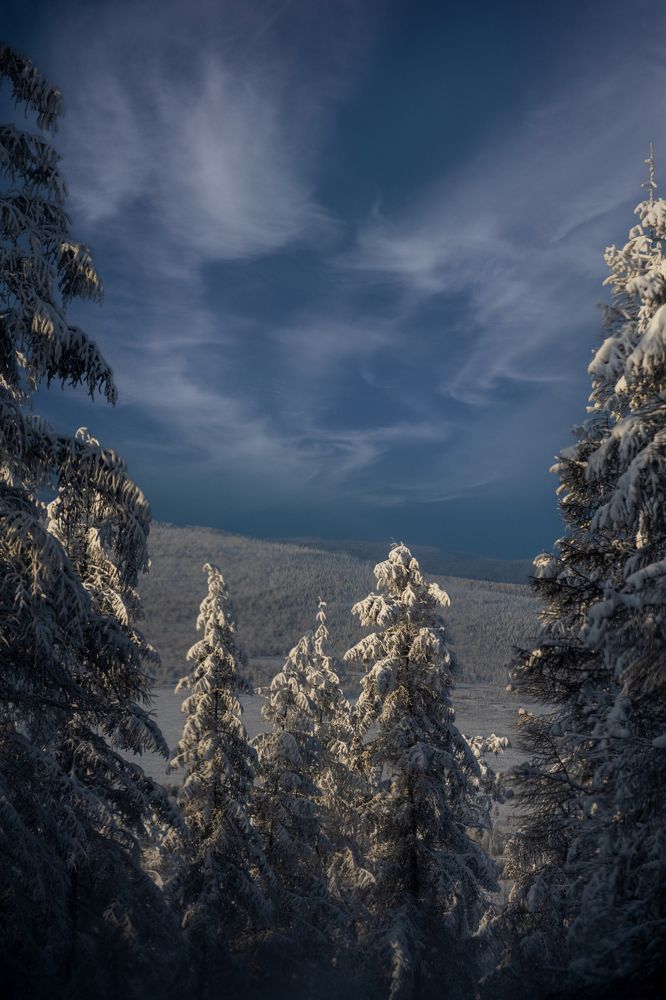 Фотография автора Дмитрий Ляшеев